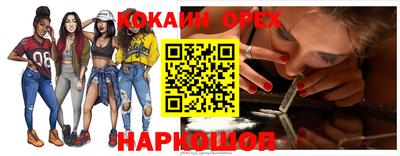 сатива Можга