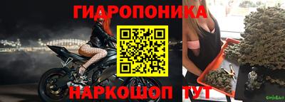 сатива Можга