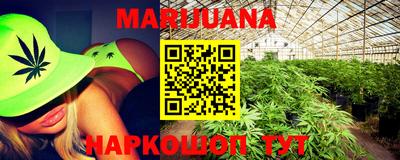 сатива Можга