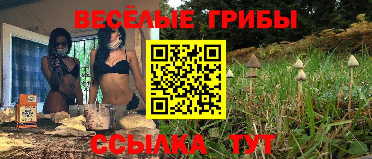 Псилоцибиновые грибы MAGIC MUSHROOMS  Вход с VPN  Дагестанские Огни 